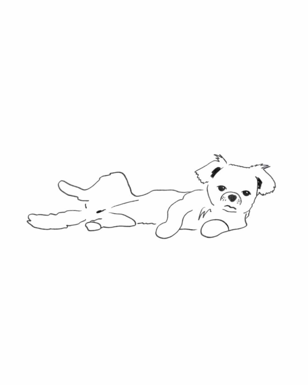 愛犬・愛猫のおもしろ写真をイラストにします 写真以上、アート未満"日常の一コマ"をクスッとする一枚に イメージ9