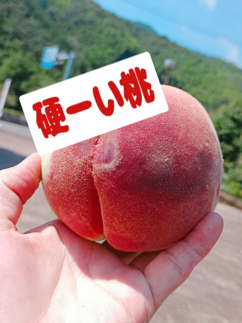 野菜　果物中心売れる文章作成します 50代おはちゃん農家さん向け 売れるメルカリ文章お作りします イメージ8