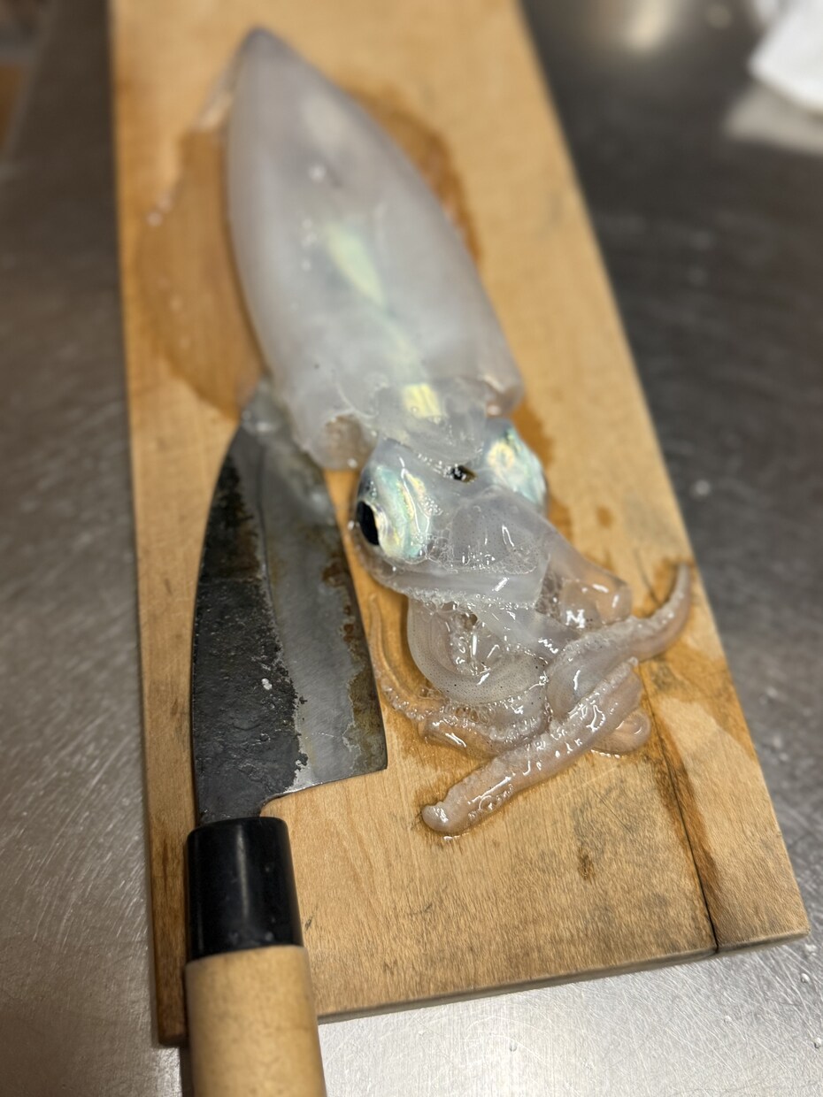 釣りを始めたい方に0から丁寧にアドバイスします 釣りで必要な道具の購入や釣り方を0から丁寧にサポート！ イメージ3