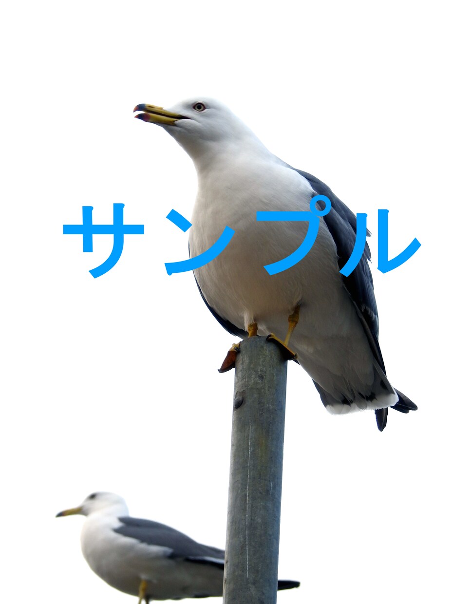 商用利用可　写真素材提供します 自由に使える高品質な素材を貴方に イメージ4