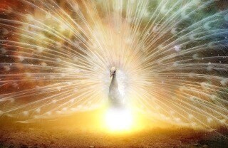 短時間で観ます。嫉妬、不安、怒りなどを和らげます 自分では整理できない感情に苦しんでいる方を救います。 イメージ3