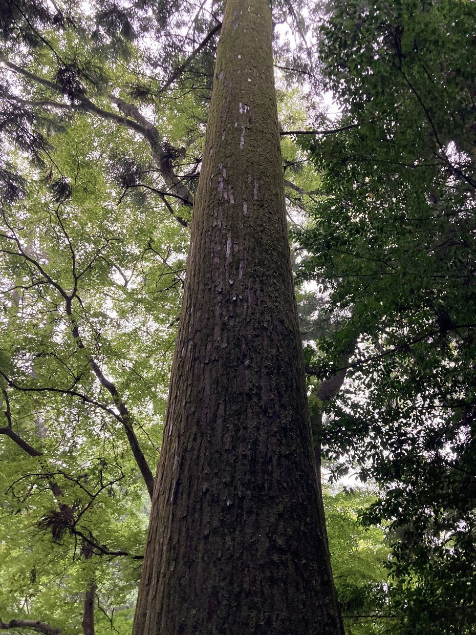 カウンセリングじゃない、3分からでも聞きます 気軽にかけてね。産業カウンセラーがどんなお話しも聞きます。 イメージ9