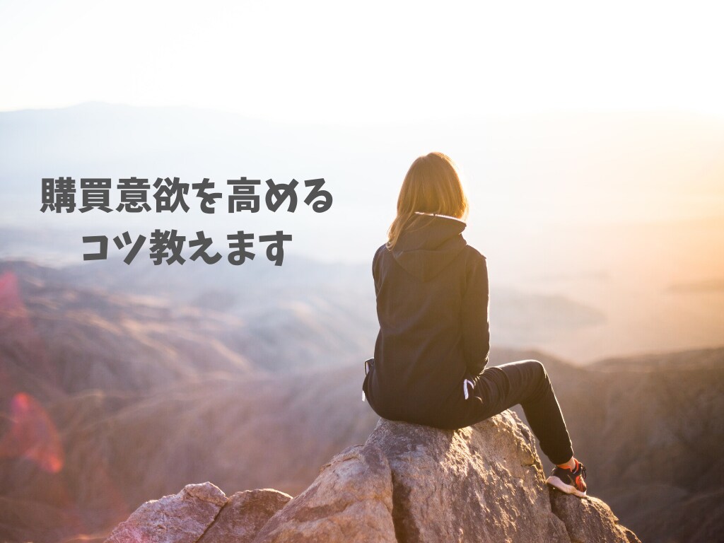 購買意欲を高めるコツ教えます 心理学をつかったサービスを売れやすくする方法 イメージ1