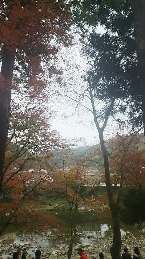 日本一の紅葉香嵐渓のお写真提供します イメージ1