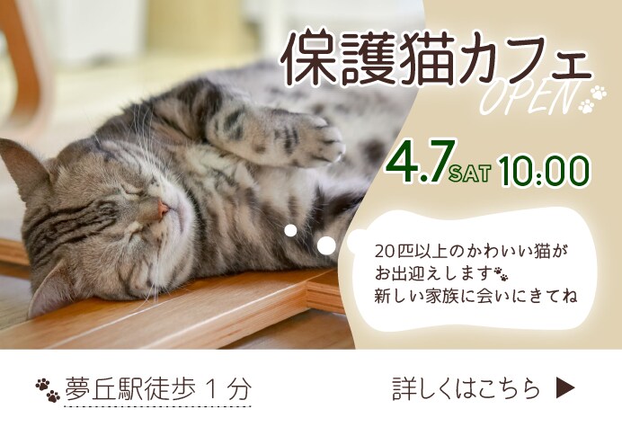バナー広告・YouTubeサムネイル制作承ります 【最短納期1週間～】SNS向け広告などの作成 イメージ3