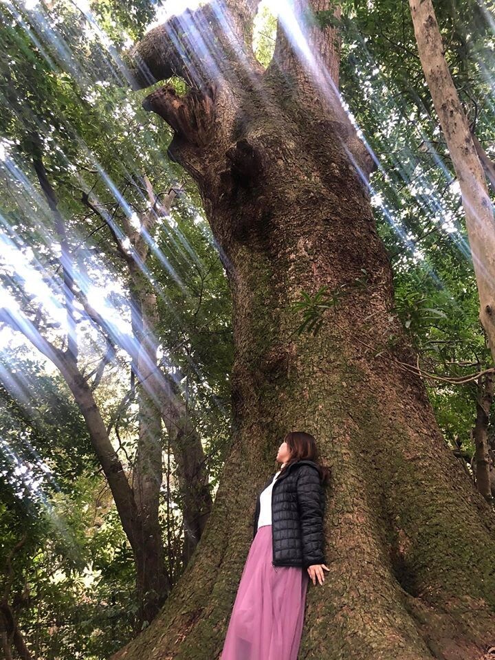 霊感霊視であなたの恋愛占います ★アナタと気になるお相手の潜在意識と繋がる★ イメージ2