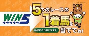 競馬★ＷＩＮ５を予想します ＷＩＮ５で億万長者への道筋をお届けします。 イメージ1