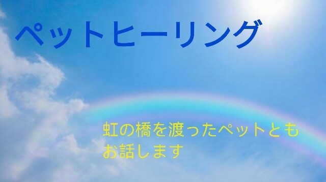 ペットと会話致します 虹の橋を渡り、亡くなったペットとお話します。 イメージ1