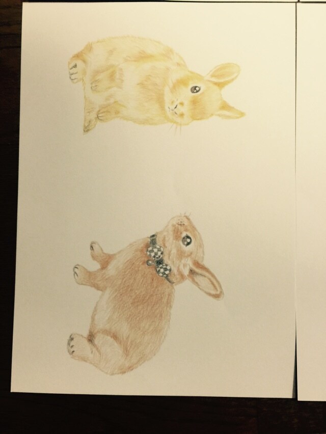 愛するペットのイラストを描きます いただいたペットの写真を基に色鉛筆にてイラストを描きます。 イメージ10