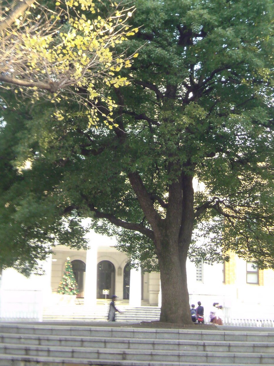 いじめを感じたときどうするか伝授致します 学校でのいやなこと、ゼロにしましょう!! イメージ2