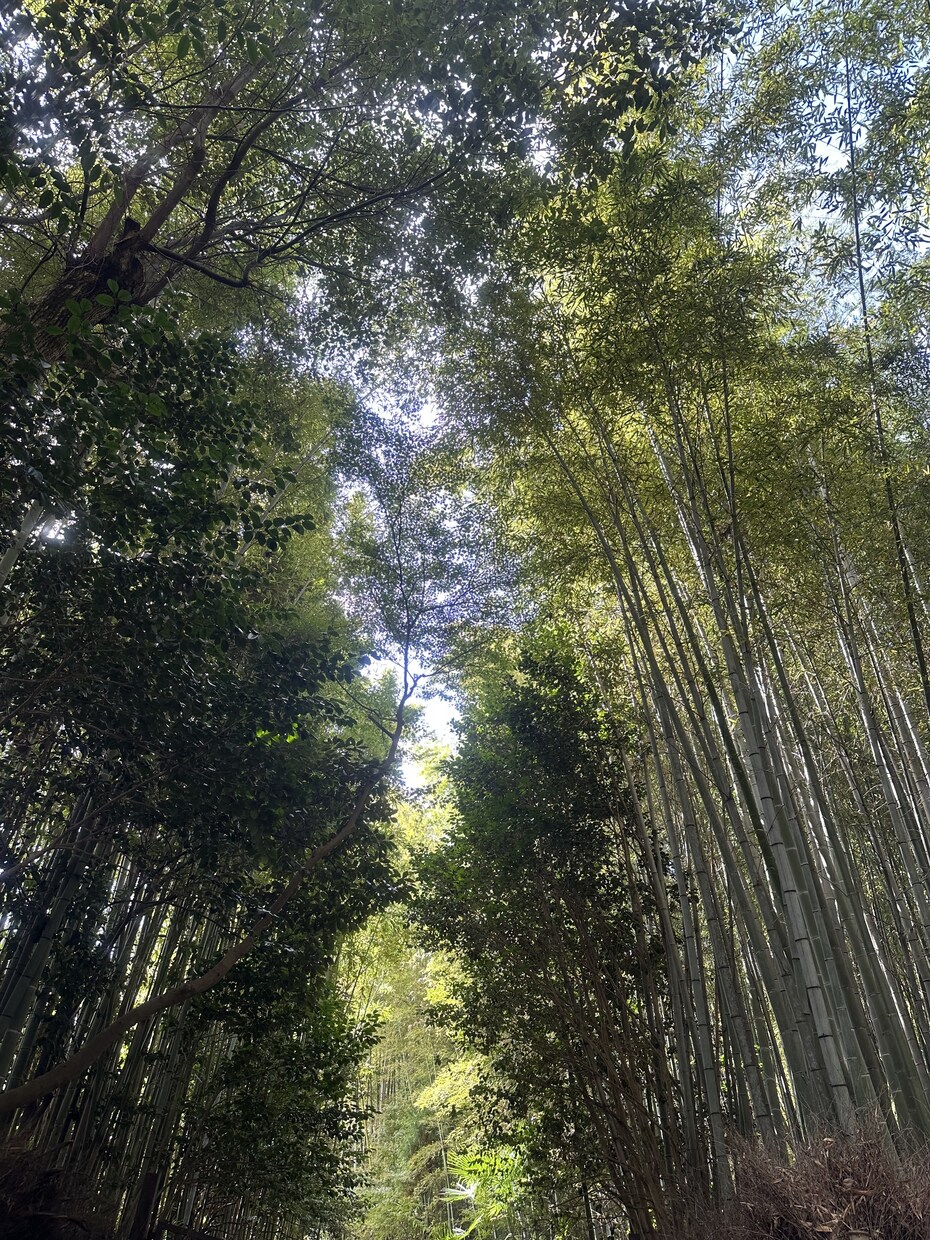 誰にも言えないお悩み。じっくりお話しお聞きします 家族や友達には相談できない、でも話を聞いて欲しい！ イメージ1