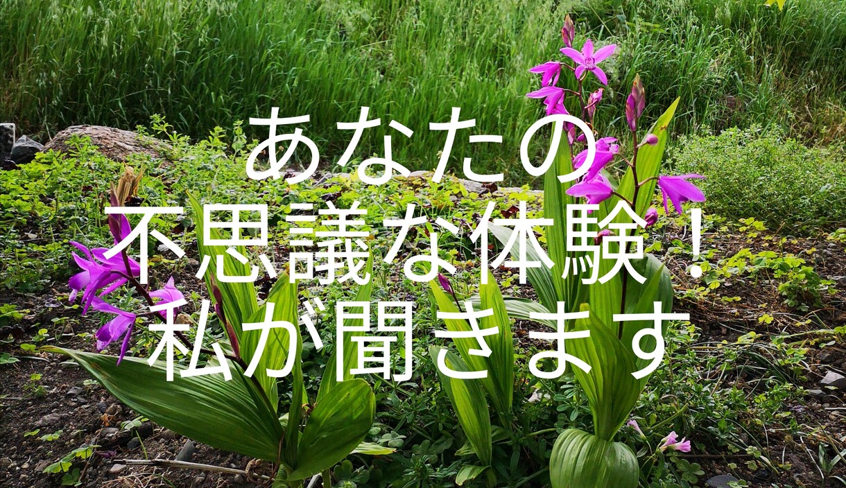 遭遇した不思議な体験！私がお話し聞きます 身近に信じてもらえない体験お聞きします イメージ1