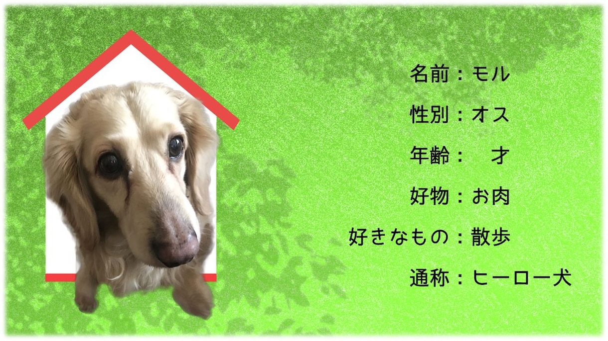 あなたのペットを主人公にした謎解きを制作します ペットとの思い出に♫ブログやSNSにアップなど使い方は様々！ イメージ2