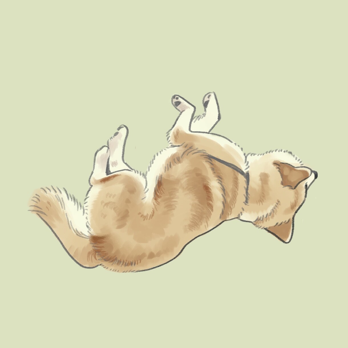 動物のシンプル可愛いイラストを描きます 過度なリアルさやデフォルメを避けたイラストです。 イメージ2