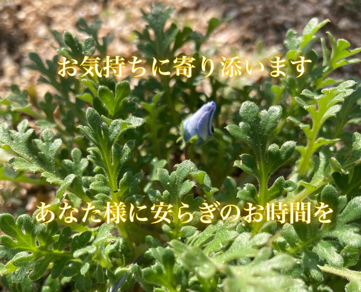 お気持ちお聞かせください。お待ちしております ◎なんとなく誰がと繋がりたい時ってありますよね。 イメージ1