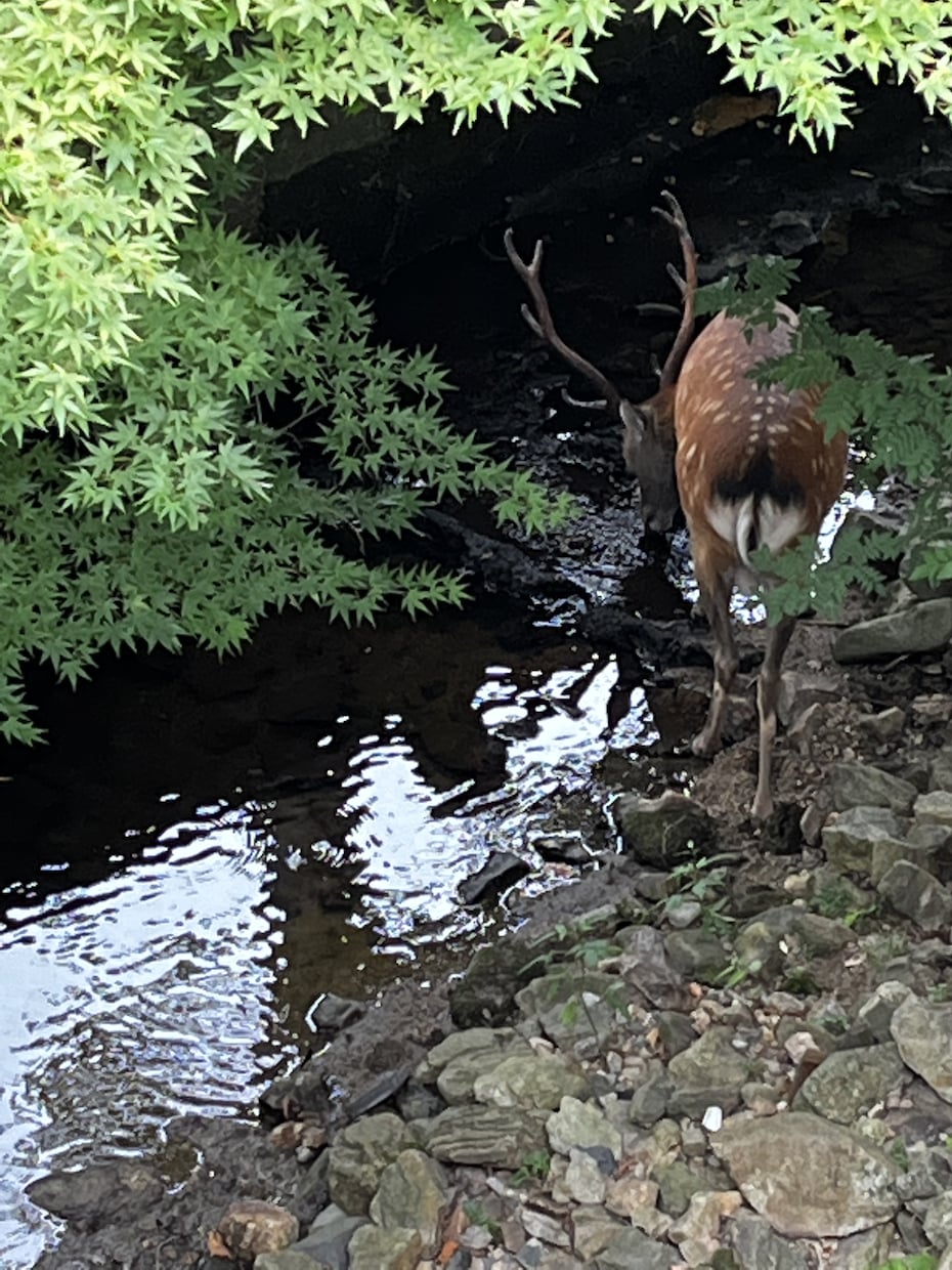 あなたの本当の気持ち見抜きます このままでいいのか？タロット、手相で占います イメージ1