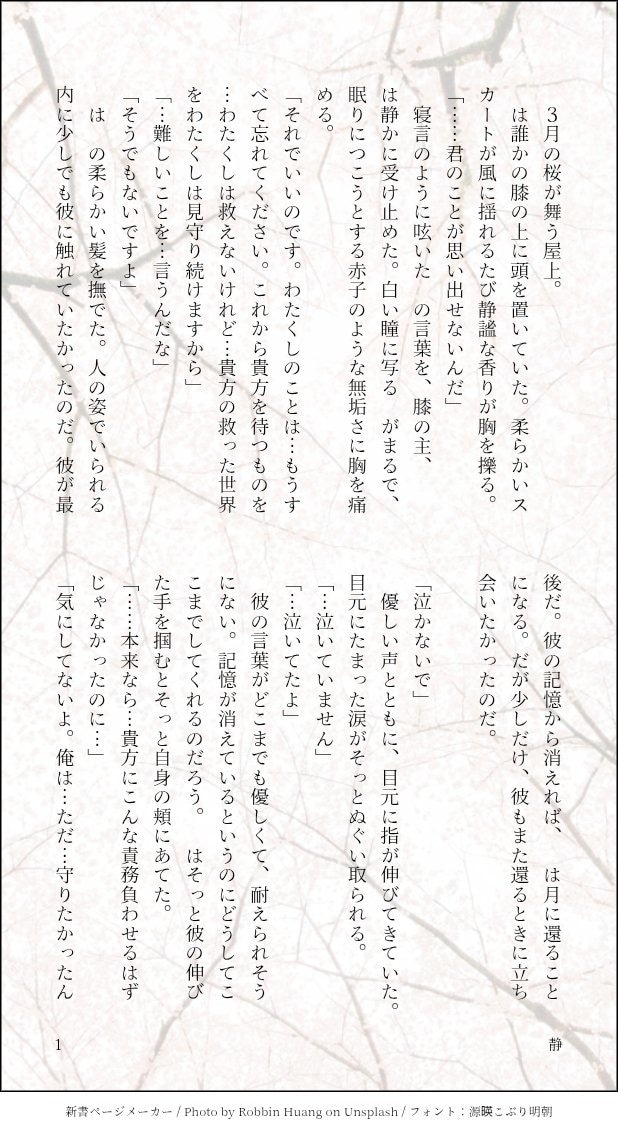 あなたの形、叶えます あなたの夢・読みたい作品叶えます！ イメージ1