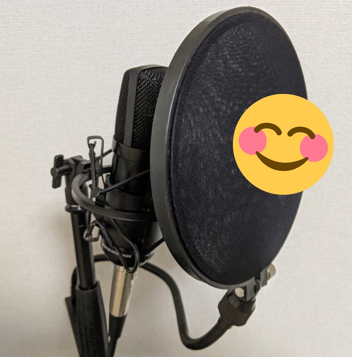 即日対応可能！誠実なアナウンスをお届けします 館内アナウンスや電話対応アナウンスなど、わかりやすく伝えます イメージ1