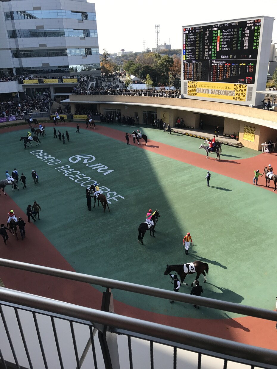 競馬予想します 競馬予想します。メインでも平場でもお任せください。 イメージ1