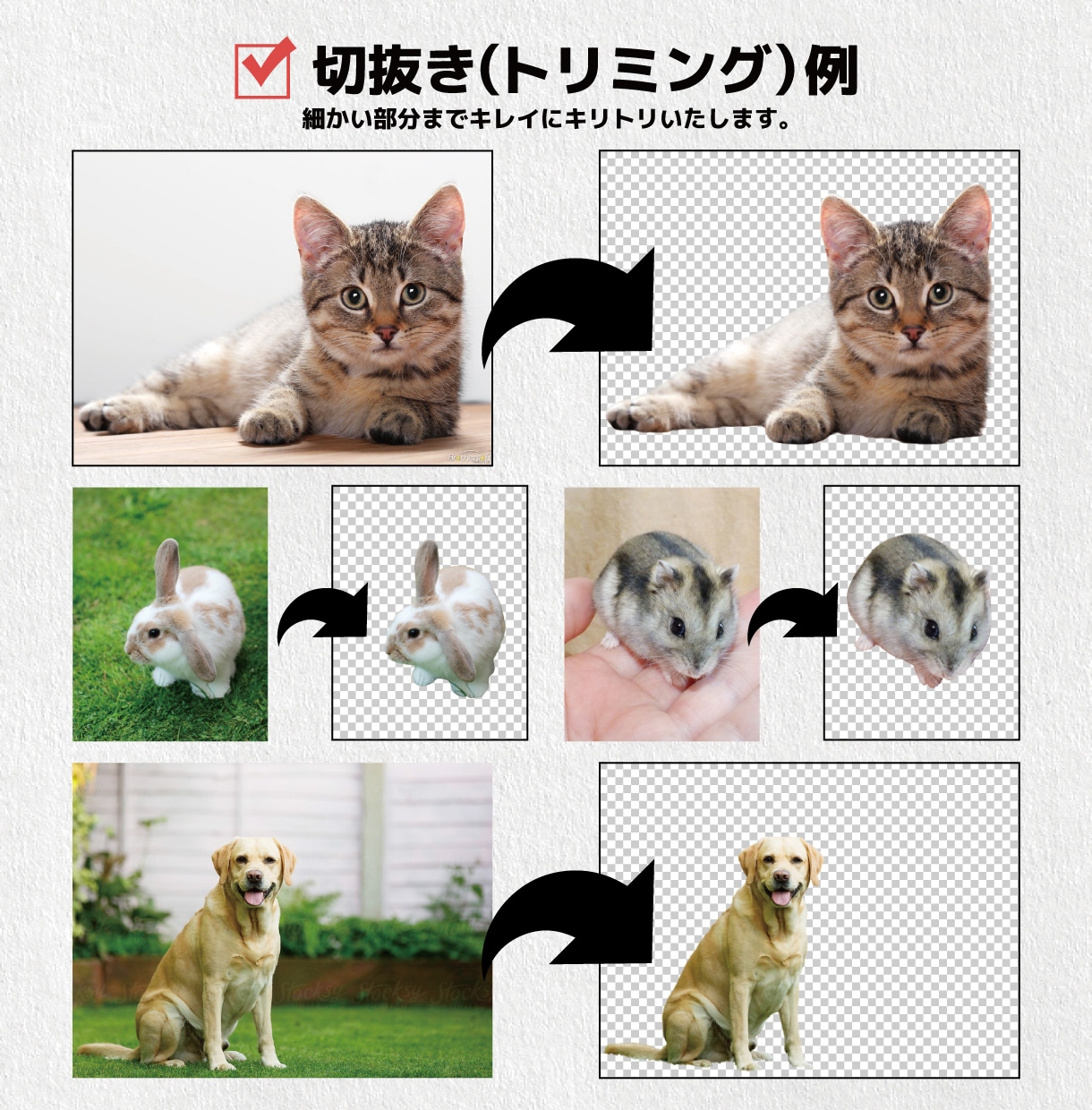 世界にひとつのうちのこの待受・壁紙を作成します 家族・赤ちゃん・恋人などなど待受・壁紙けにします！ イメージ7