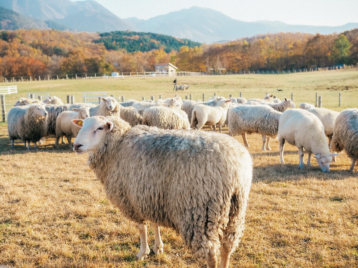 写真編集させて頂きます 明るくて優しい雰囲気の写真✳︎インスタ映え写真 イメージ9