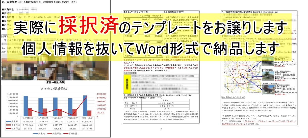 小規模事業者持続化補助金、採択申請書をお譲りします 現役事務局職員が作成した小規模事業者持続化補助金の申請書です イメージ1