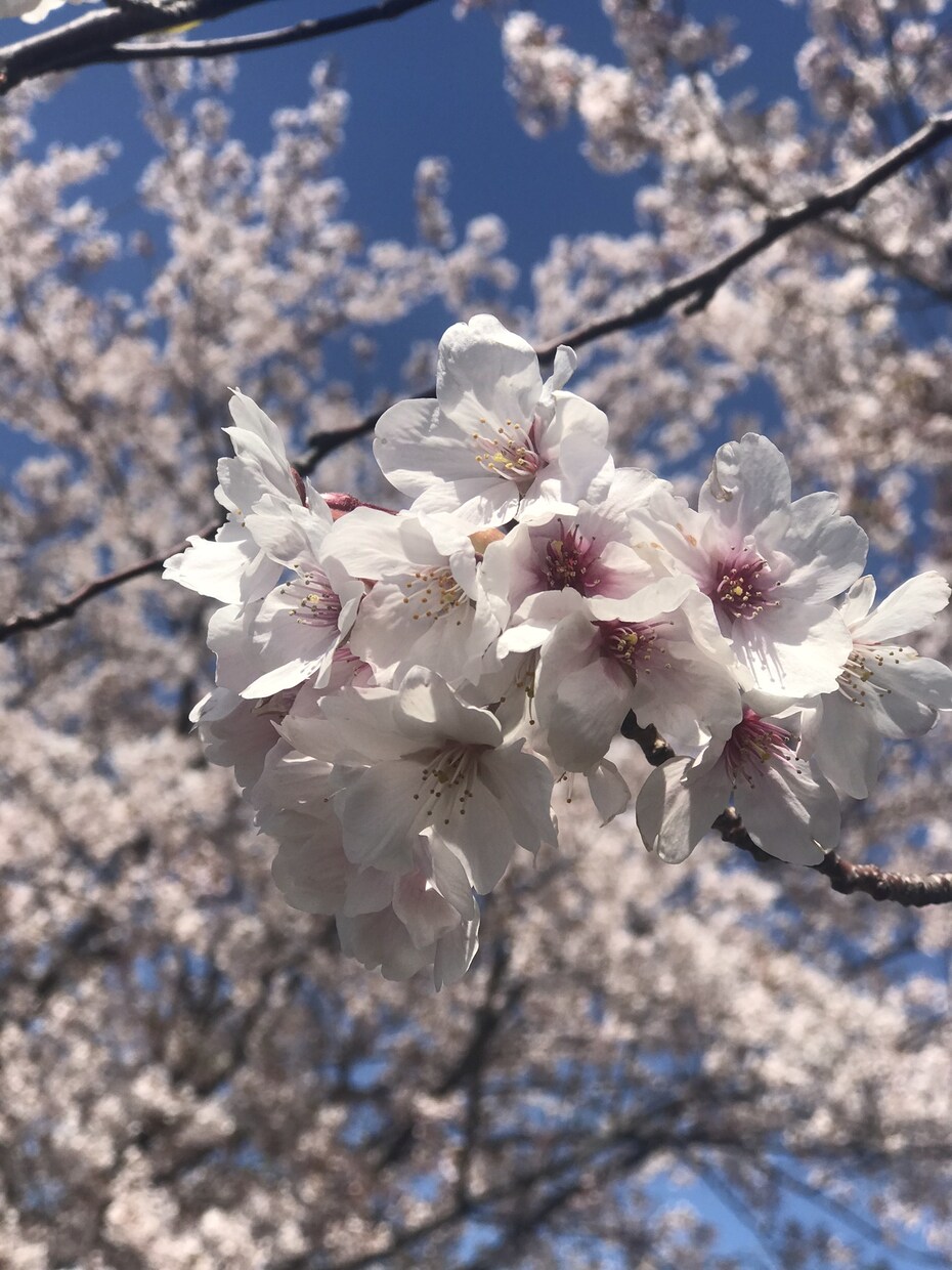 あなたのお悩み(@_@)など、お聴きします 一般論だけではなく、親身になってお話しします。 イメージ5