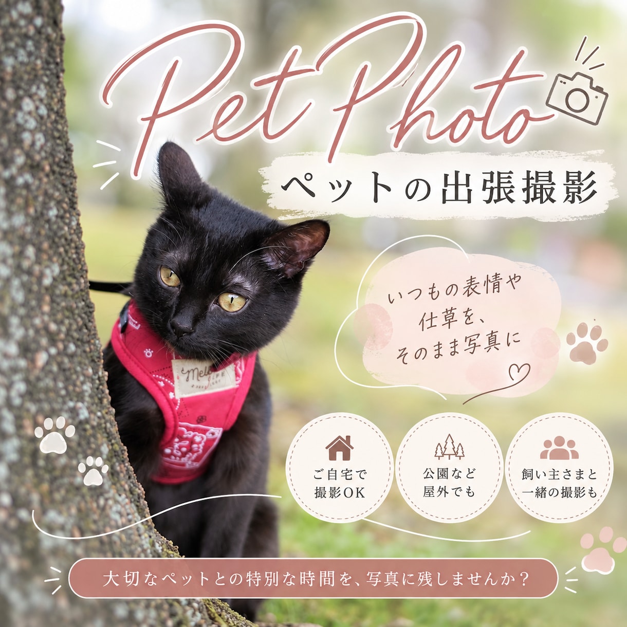 大切な家族の写真を出張撮影しますます いつもの表情や仕草を自然な雰囲気で写真に残します イメージ1