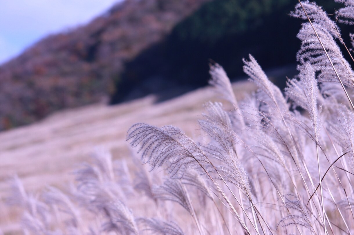 欲しかった写真、撮りに行きます ｢あの場所のこういう写真がほしい｣という写真を撮りに行きます イメージ10