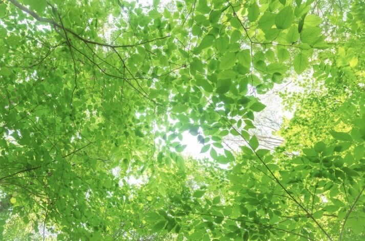 誰かと話したいなぁ…お気持ちに優しく寄り添います ただ聞いてほしい/雑談/愚痴/育児/仕事/人間関係/相談も イメージ4