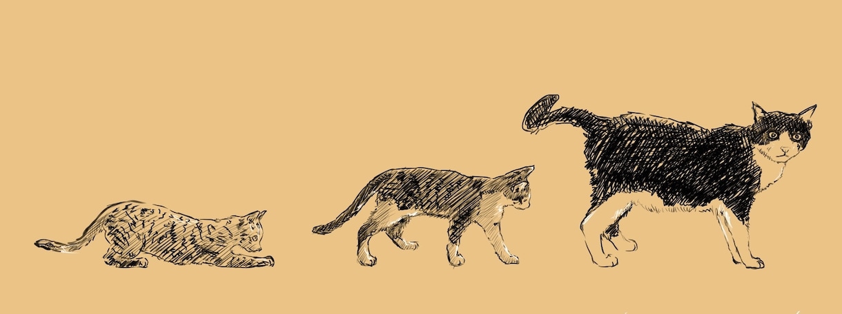 ペットのデータ画像をタブレット端末で手描きします ラフな鉛筆画風のスケッチに仕上げます。 イメージ8