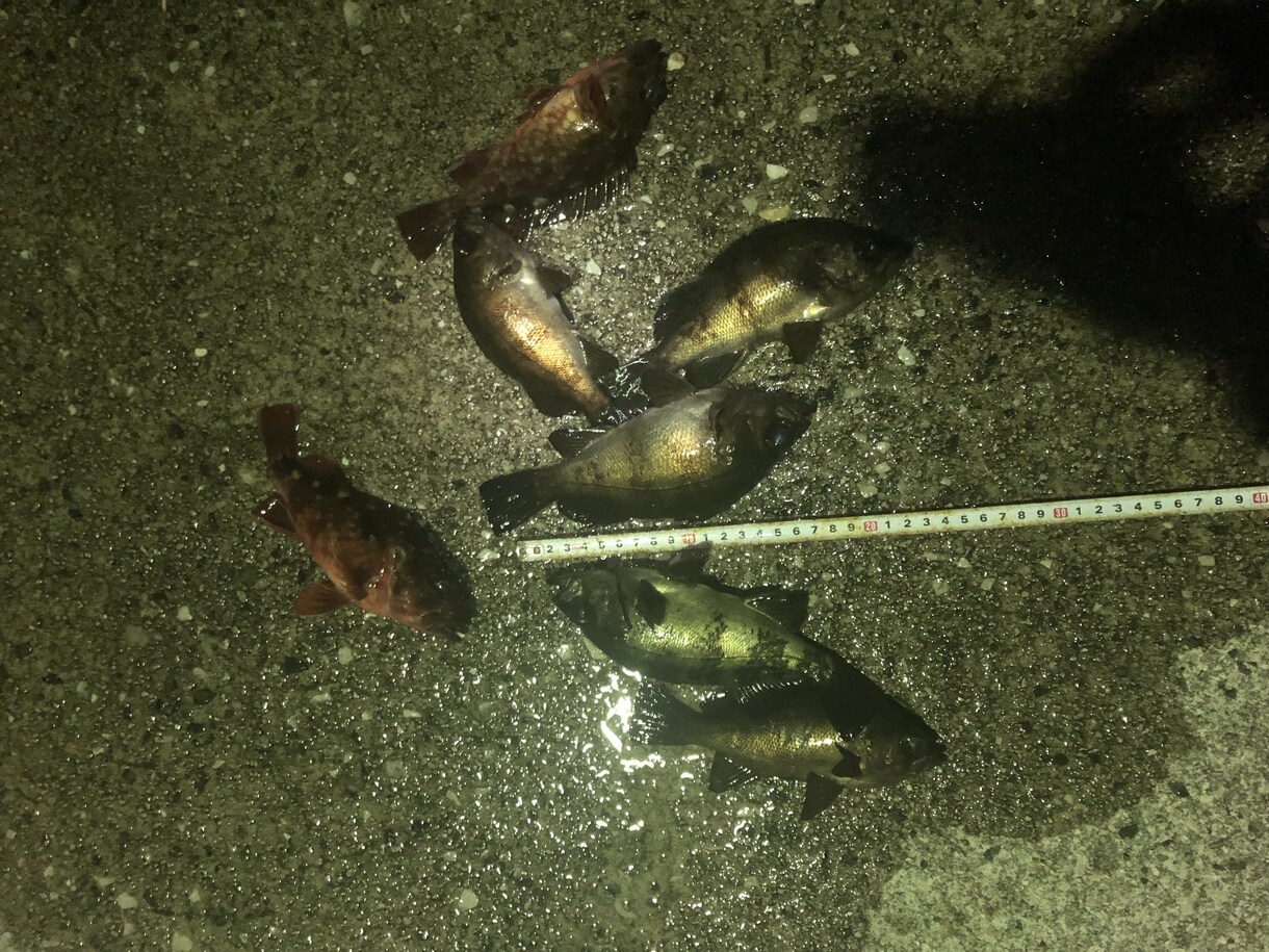 鳥取県西部～島根県東部周辺の釣り場教えます これから釣りをしてみたい･新しい釣り場をお探しの方へ イメージ3