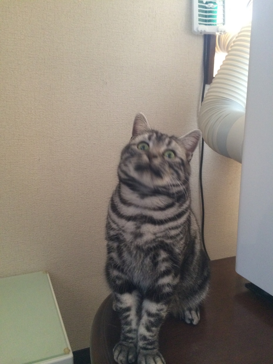 プチカウンセリング イメージ1