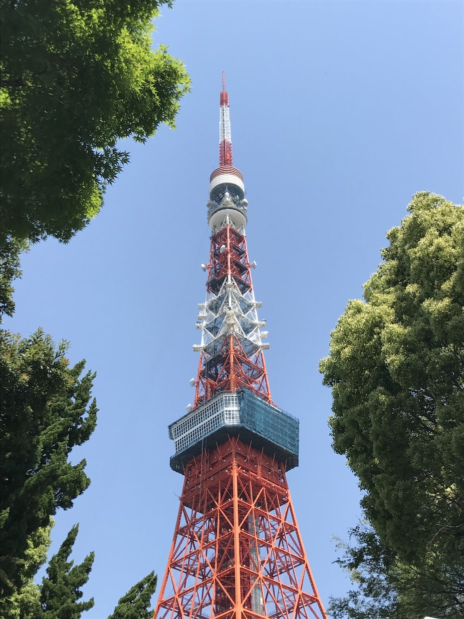 ワンコイン鑑定をします あなたを知り、与えられた使命を全うしませんか？ イメージ7