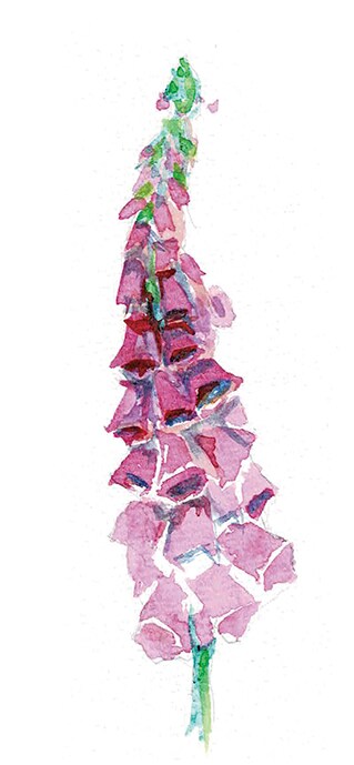 透明感のあるイラスト作成いたします プロフィール用や挿絵などのイラストに如何でしょうか イメージ3