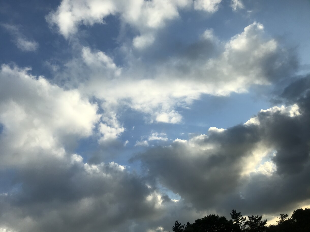 嬉しかったこと、悲しかったこと、どんな事も聞きます 聞くことだけできます。思う存分話してください。 イメージ1