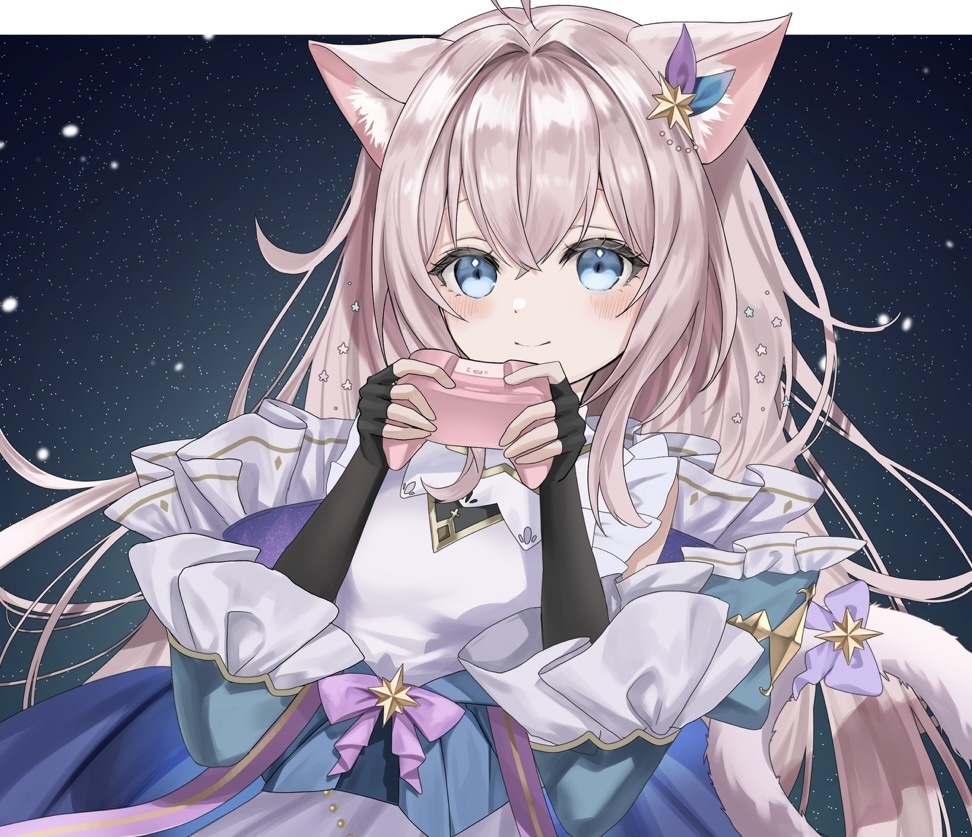 商用利用OK！ご希望のイラストお描きします Vtuberやライバー活動、創作活動をお手伝いします！！ イメージ10