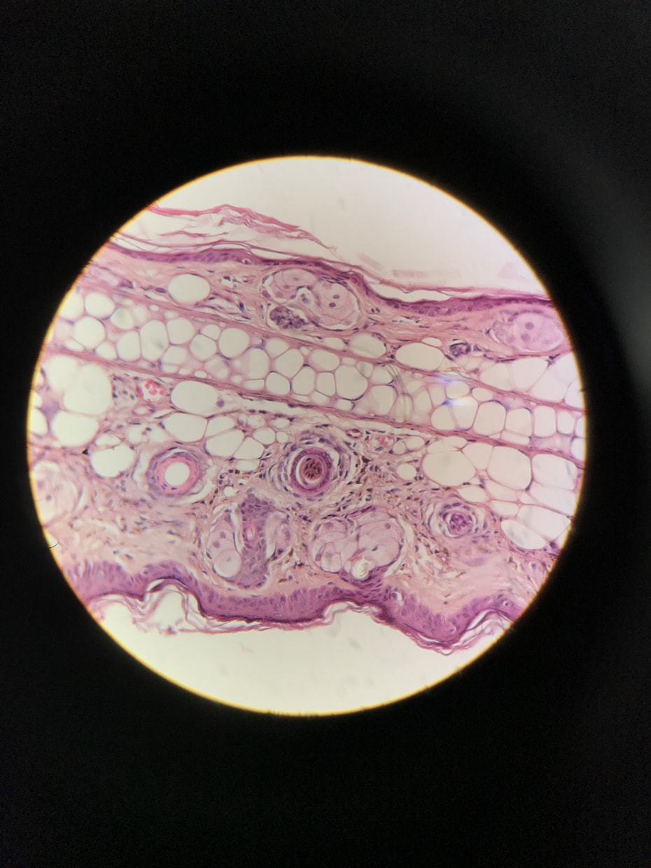 皮膚科学に基づいた本当のお肌ケアを教えます 東大大学院出身の皮膚研究者が教える本物の肌ケア！ イメージ2