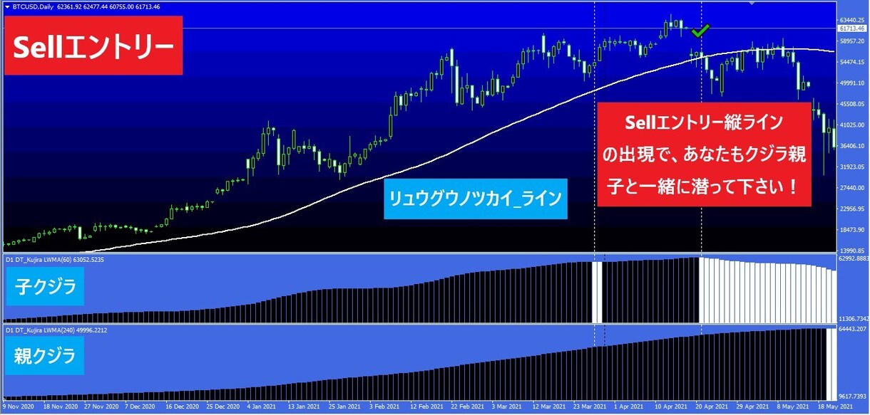 Day Trader Whale_Sea出品します 「大海原を泳ぎ回るクジラの親子」チャートです！ イメージ4