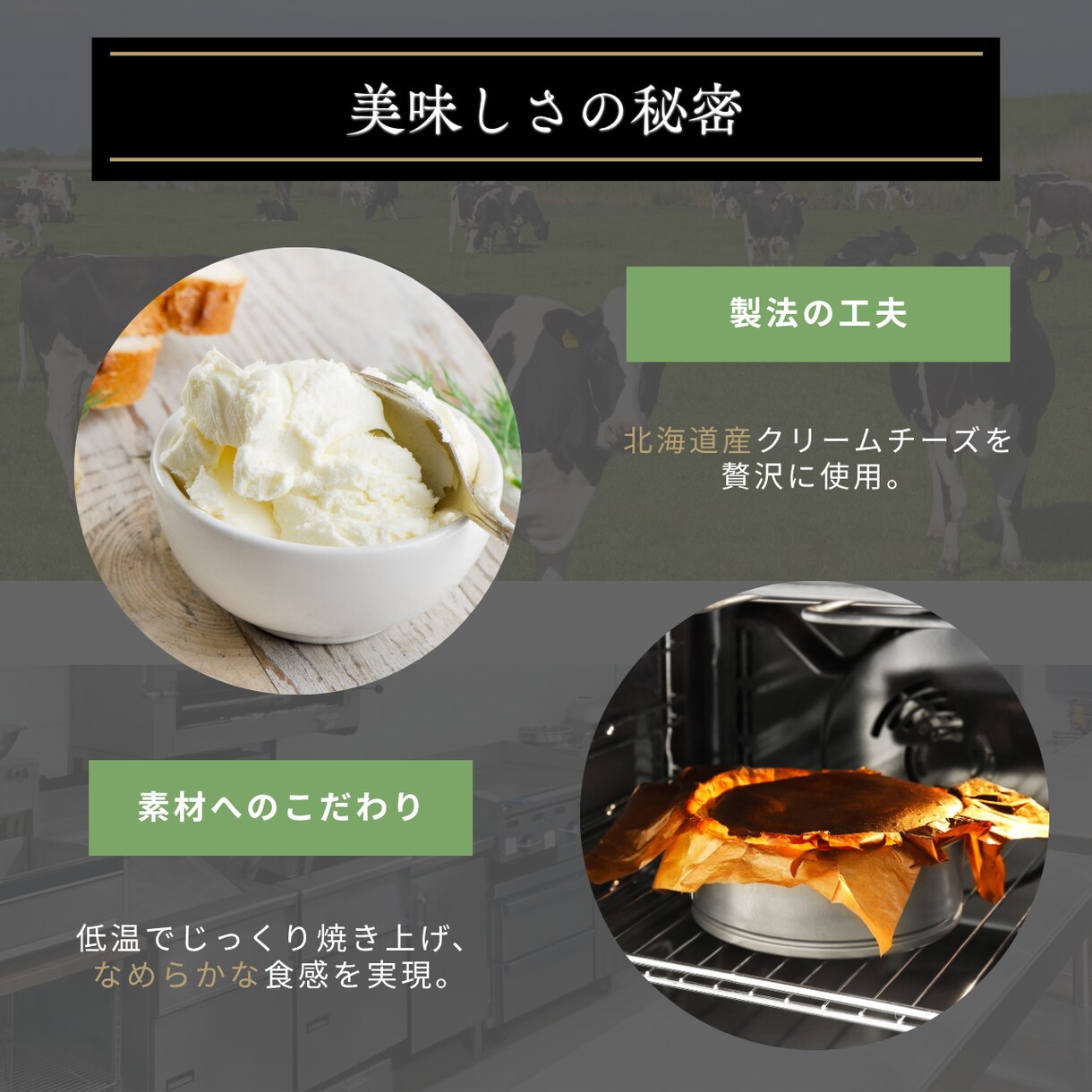 3名様まで限定通常6枚セットを7枚で製作いたします 丁寧なヒアリングでお客様の商品をより魅力的にお伝えします！ イメージ10