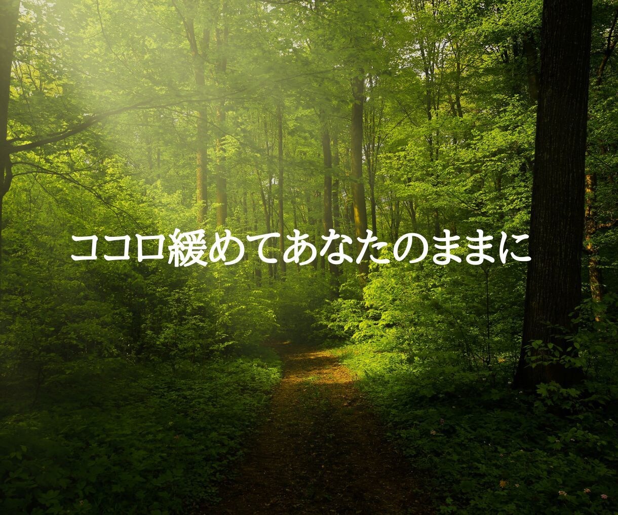 あなたの魂が望む未来へやさしくエネルギーを整えます 本来の自分とつながり、未来への意図を育てる イメージ8