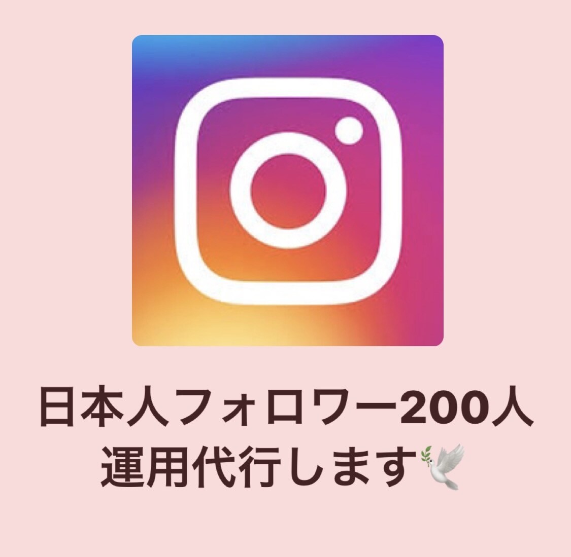 インスタで日本人 200人フォロワー増やします 日本人限定で増やしています。大枠の属性も承り可能◎ イメージ1