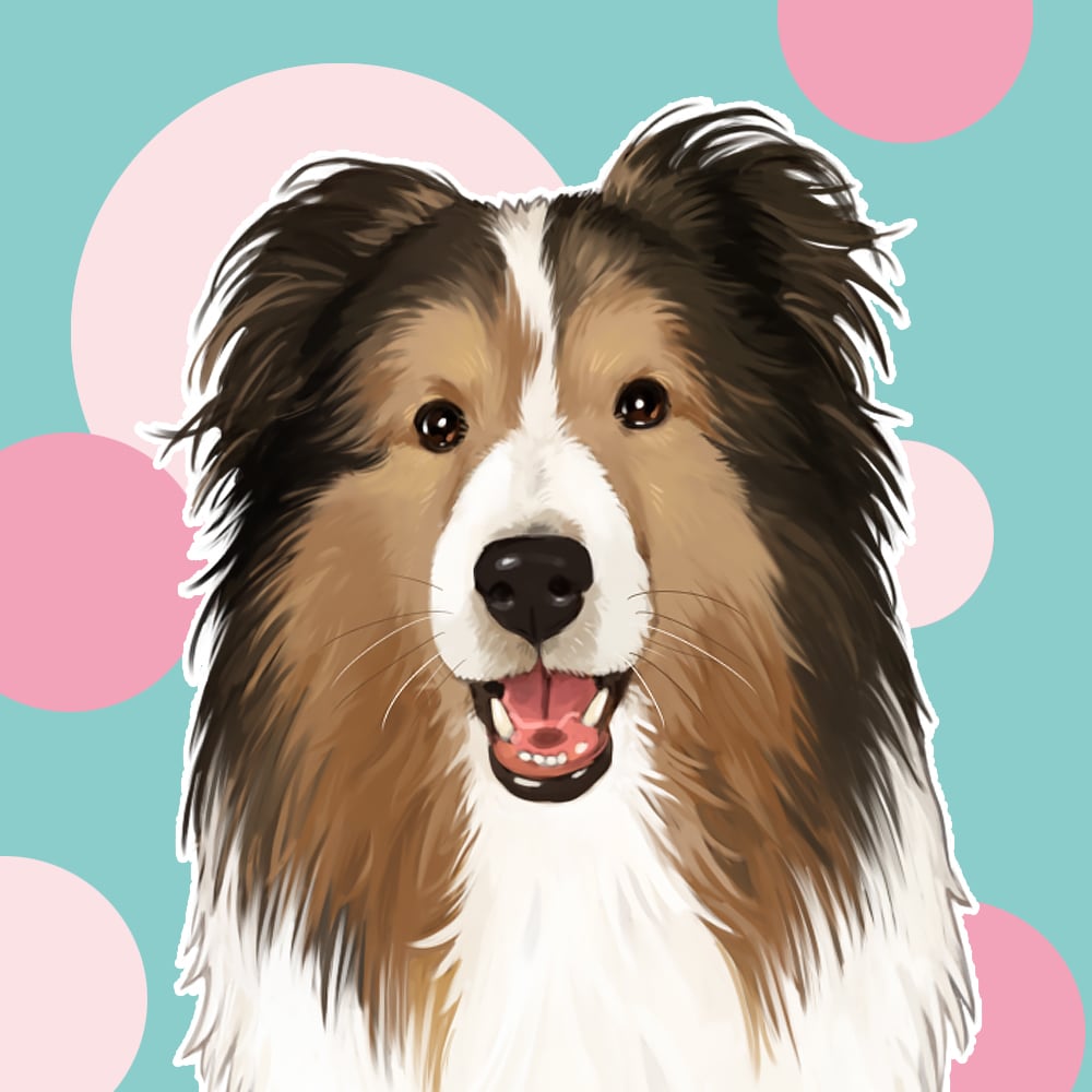 リアル・厚塗り☆大切なペットのイラストを描きます ご自分の記念用や、ギフト用におすすめです。 イメージ8