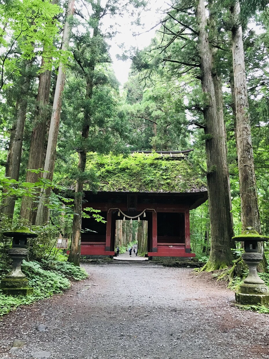 あなたが知りたい事について２４時間以内で鑑定します 〜早く結果が知りたいあなたへ〜 イメージ3