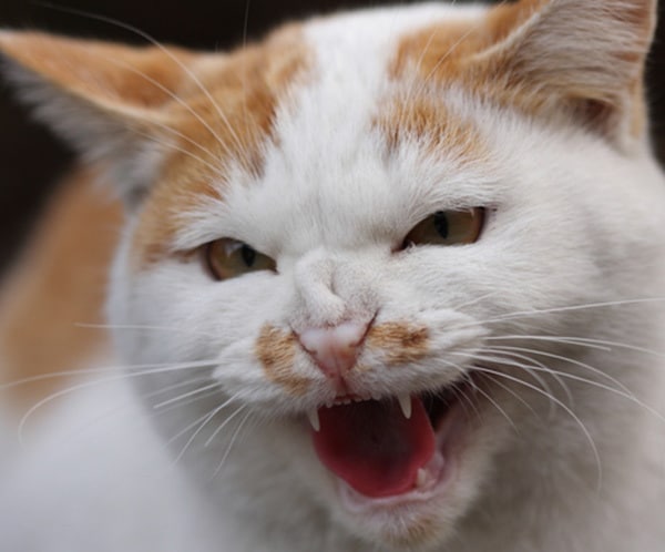 どんなお話でもお聞きします 誰かに話したい方誰かに聞いて貰いたい方 イメージ2