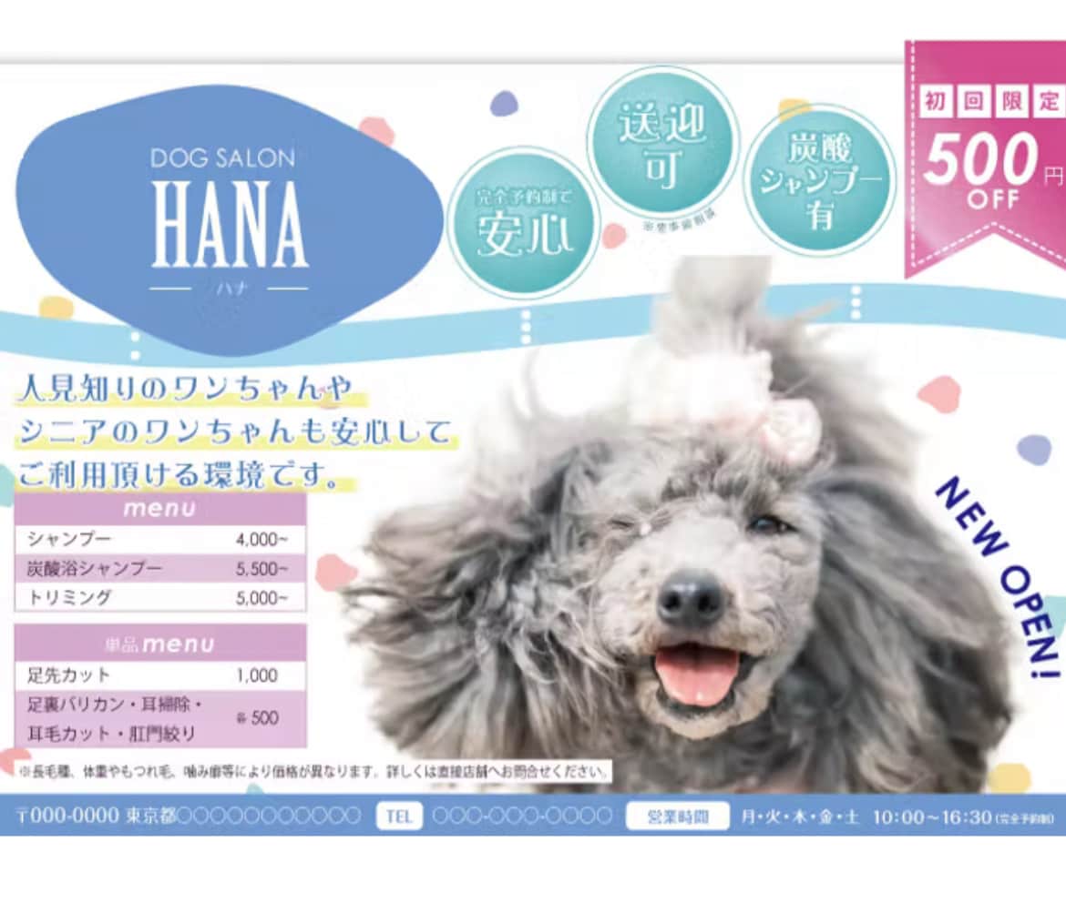 印刷&入稿形式ご対応！広告代理店経験者が作ります プロのデザイナーが集客UP×プロ品質を今だけ1万円にて！ イメージ4