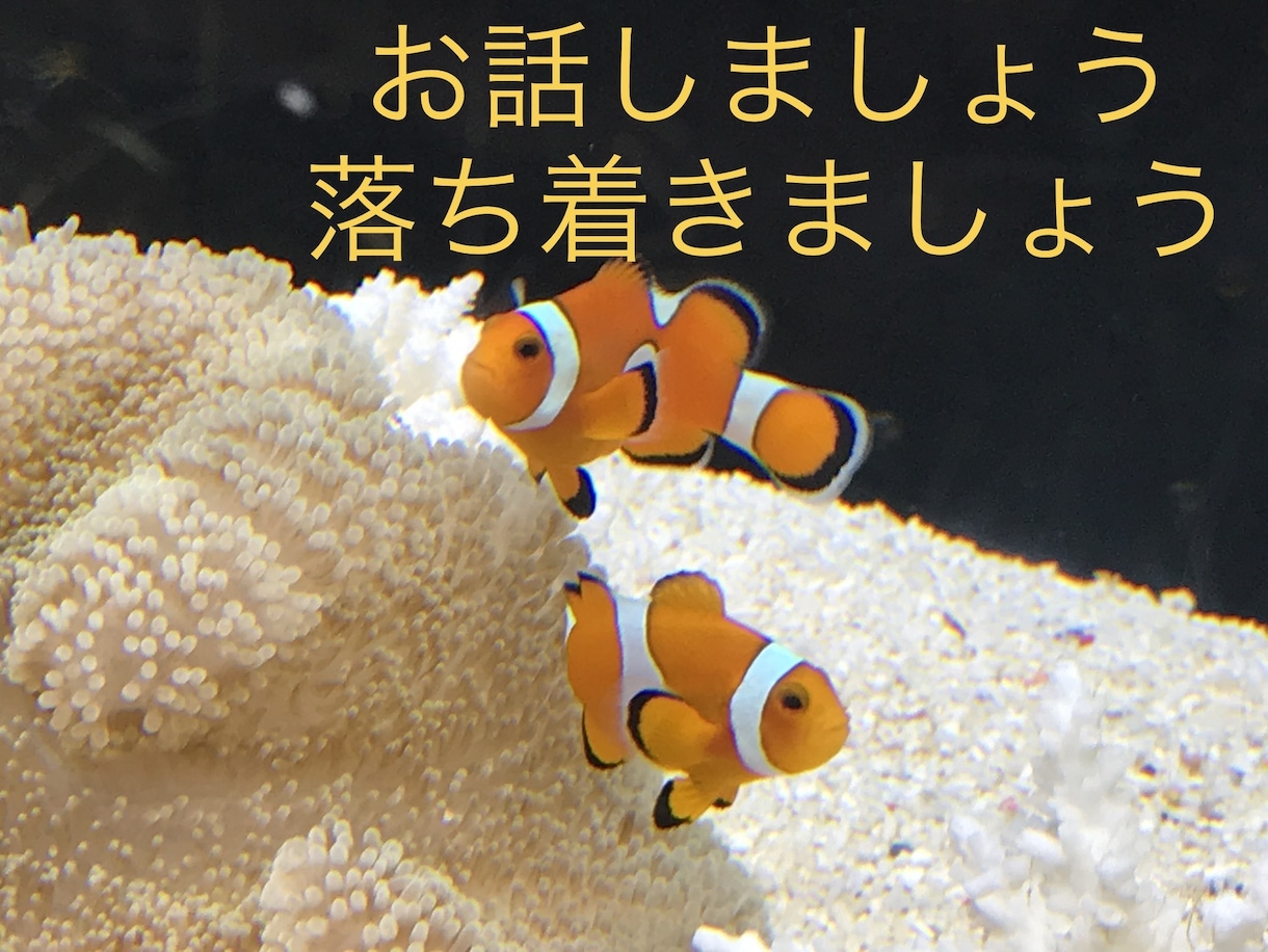不登校･起立性調節障害･いじめ 解決策提案します 教師歴22年･我が子不登校経験有･メンタルトレーナー資格 イメージ6