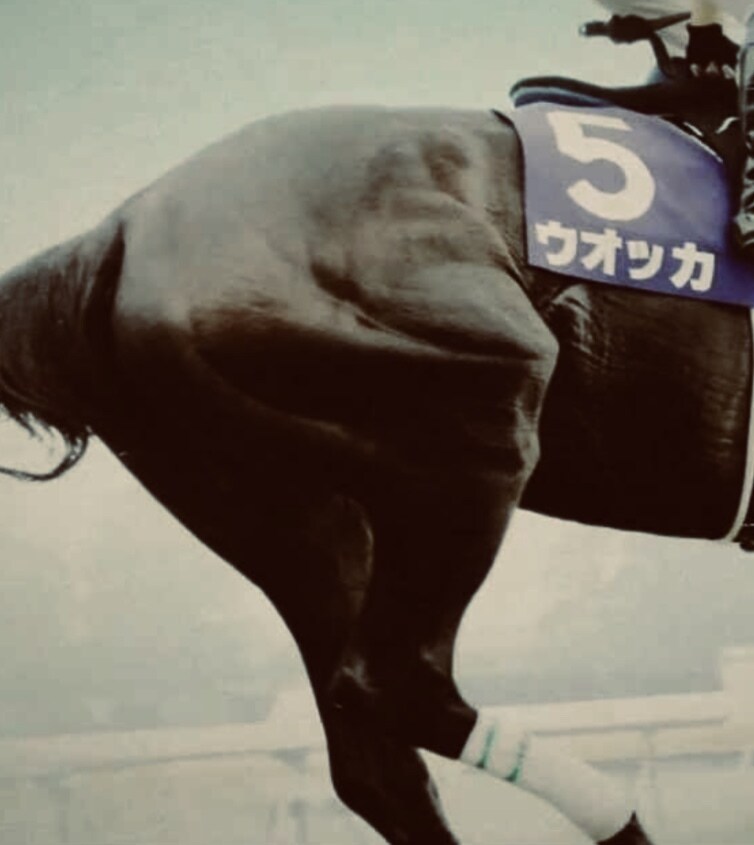 札幌2歳ステークス馬単予想します 毎週1点で仕留める馬単シリーズ イメージ1