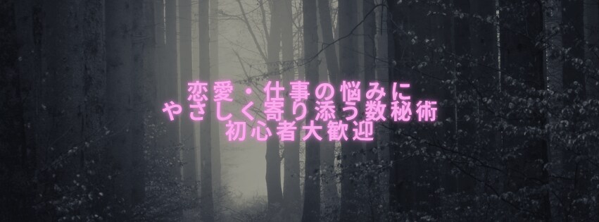 数秘術で仕事や恋愛などを鑑定します 生年月日から今の流れとヒントを読み取ります　シンプルPDF版 イメージ1