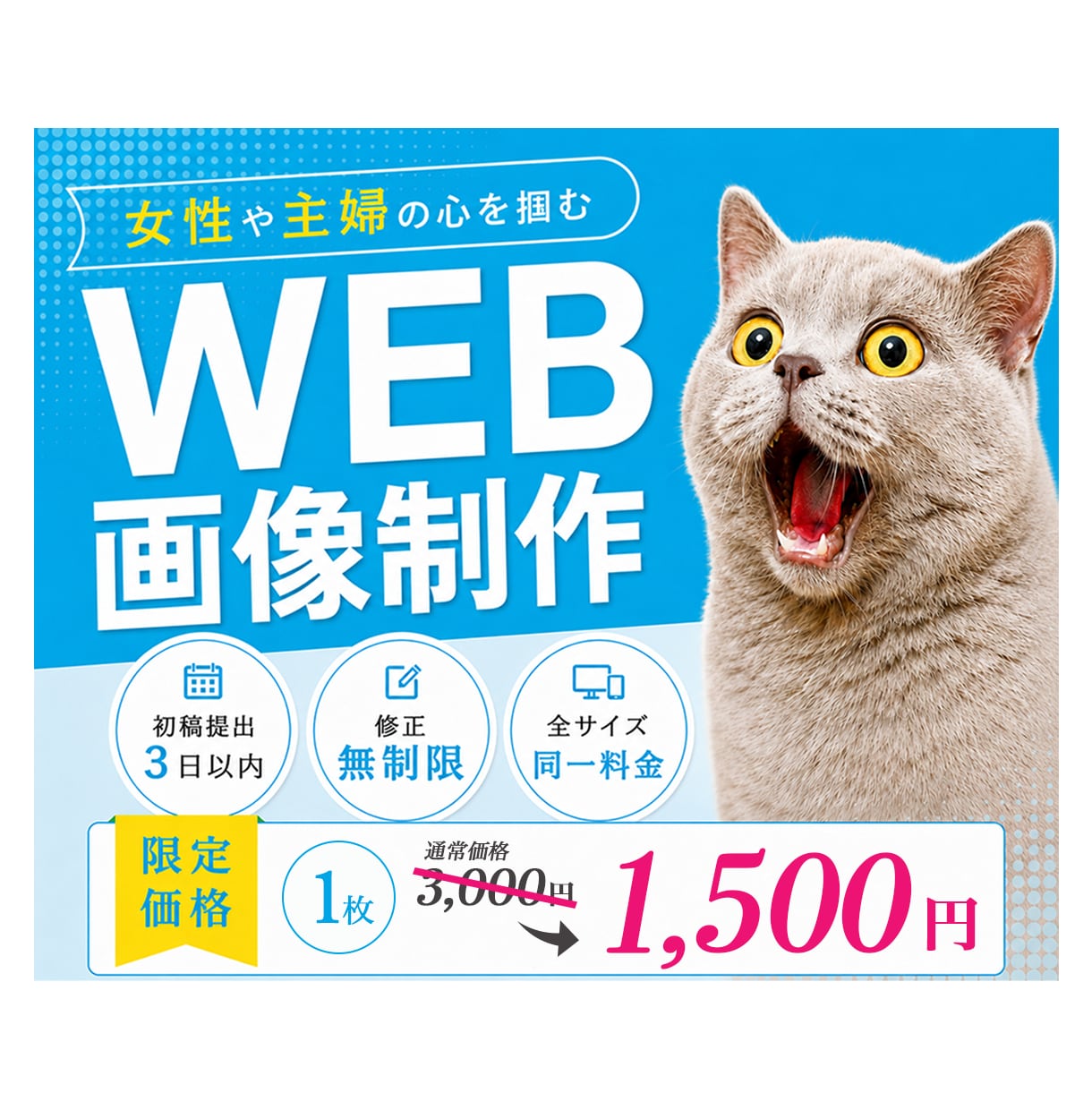 先着10名★見た人の心が動くWEB画像制作します 女性目線の伝わるデザインで、集客を後押しします イメージ1